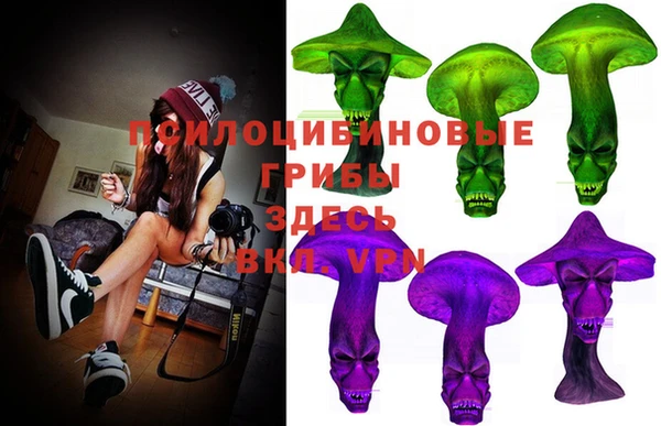 бошки Алексин