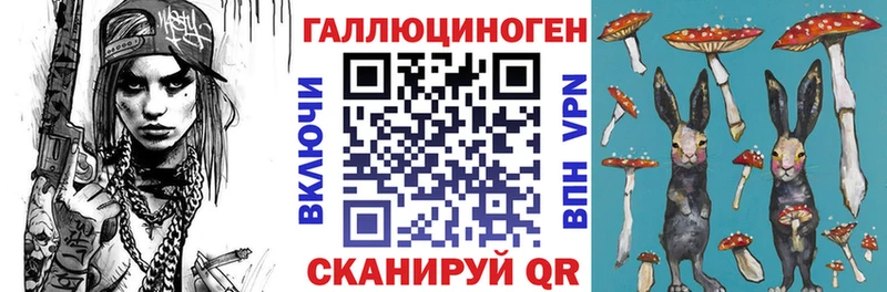 Псилоцибиновые грибы Psilocybine cubensis  Купить где  Суздаль 